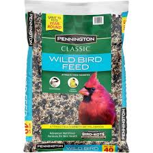 Bird feed pack best and export quality